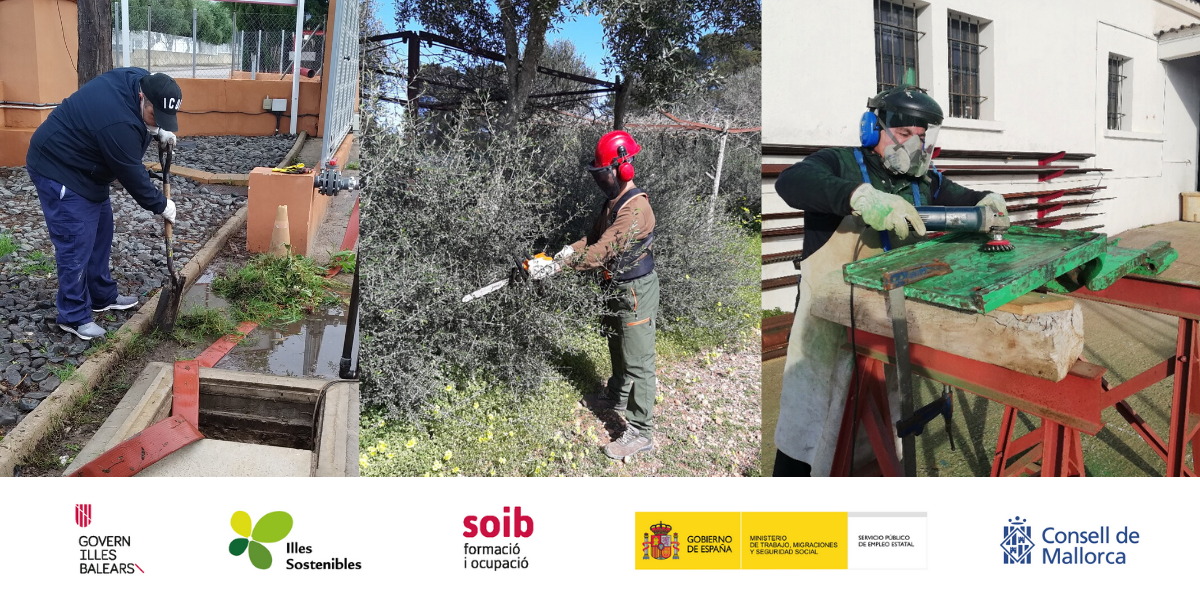 El Programa SOIB VISIBLES 2019-2020 és promogut pel SOIB, per fons de l’Estat a través de Conferència Sectorial i pel Fons per afavorir l’Impuls del Turisme Sostenible (ITS).